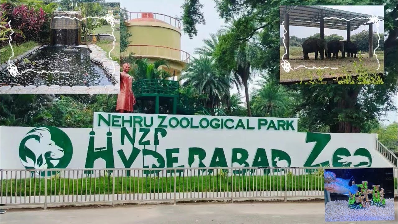 🦚Nehru ZOO park 🏞️ HYD 🦁|how to reach Nehru Zoological park in hyd| timings & entrance ticket price|