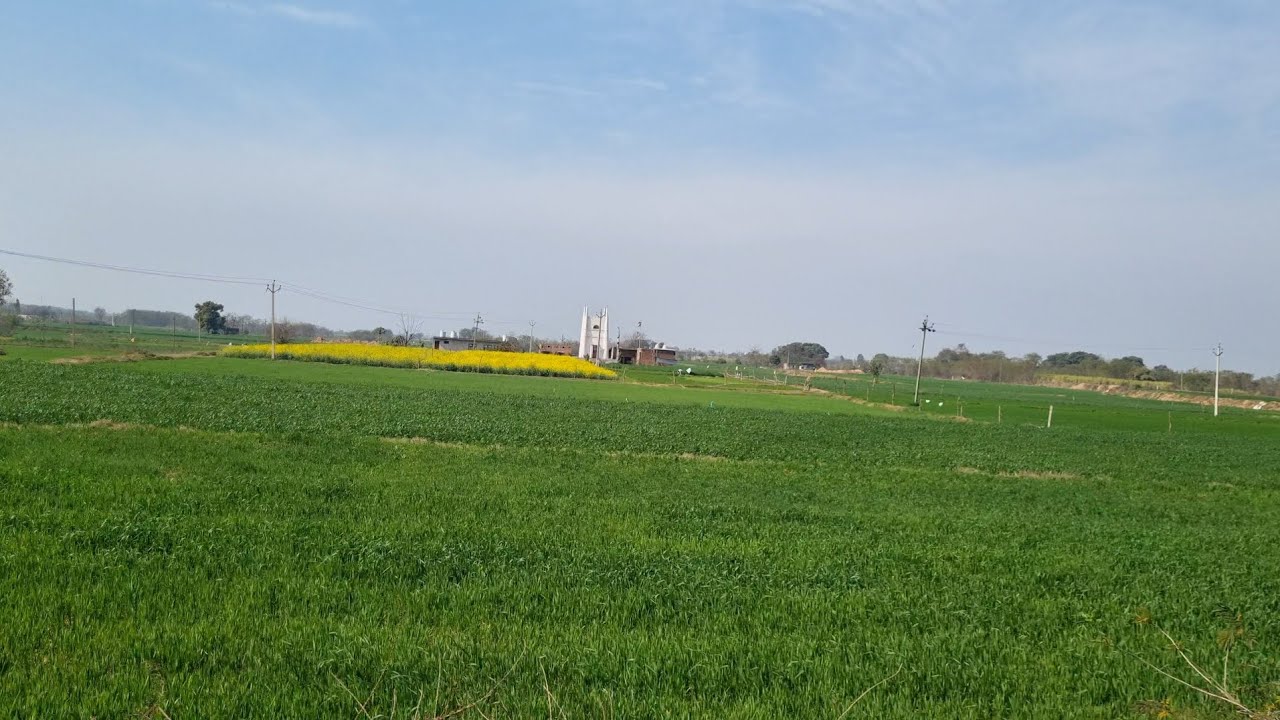 2.5 Kanal Agriculture Land 25 Minutes Drive from New Chandigarh in Just 25 Lakh Only