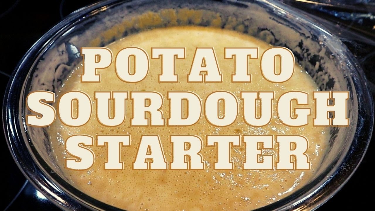Learn How to Begin and Feed a Mashed Potato Sourdough Starter: See EVERY Step!