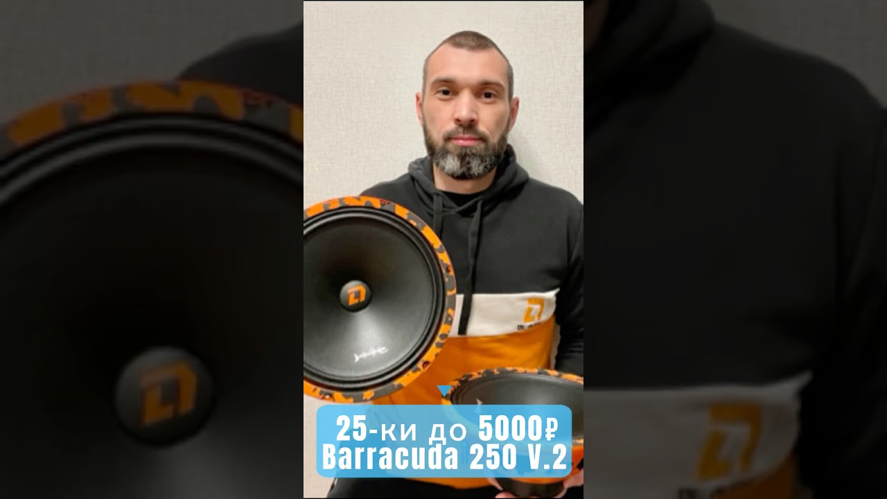 Динамики 25 см до 5000₽! DL Audio Barracuda 250 V.2 / Обзор и распаковка #автозвук