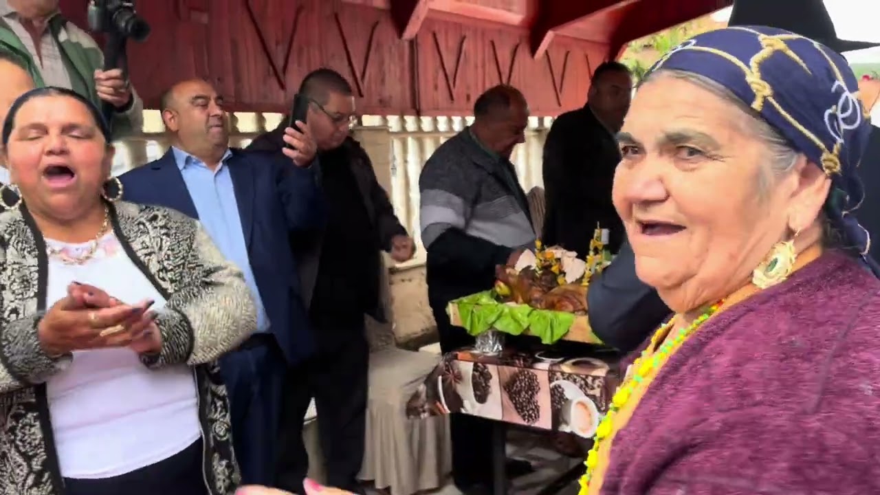VENITUL DUPĂ NAȘI SI MOȘI , CU PORCI  SI PURCEI  ( BOTEZ ) !