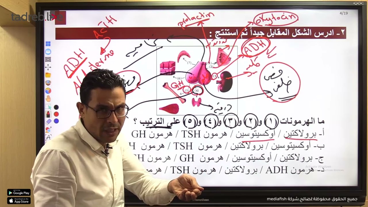 الامتحان التفاعلي 26 - الثانوية العامة عربى