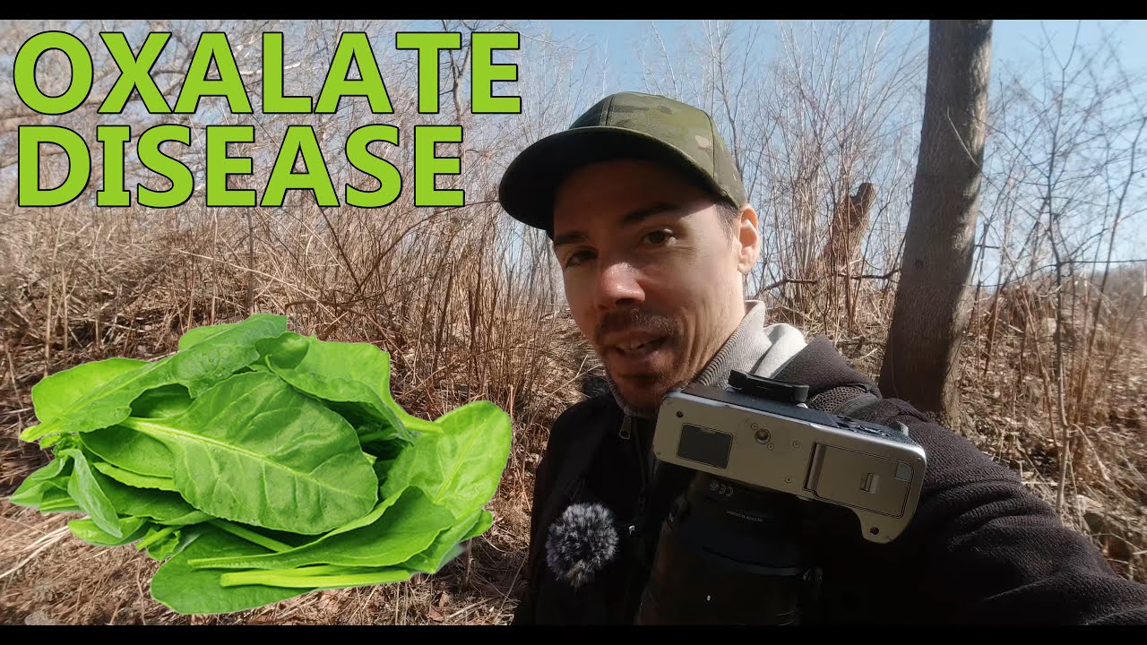 Fruit and Meat Diet: Vegetables or No?