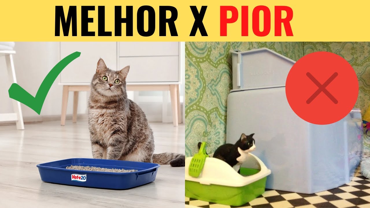 Os MELHORES e PIORES Lugares Para Colocar a CAIXA DE AREIA!