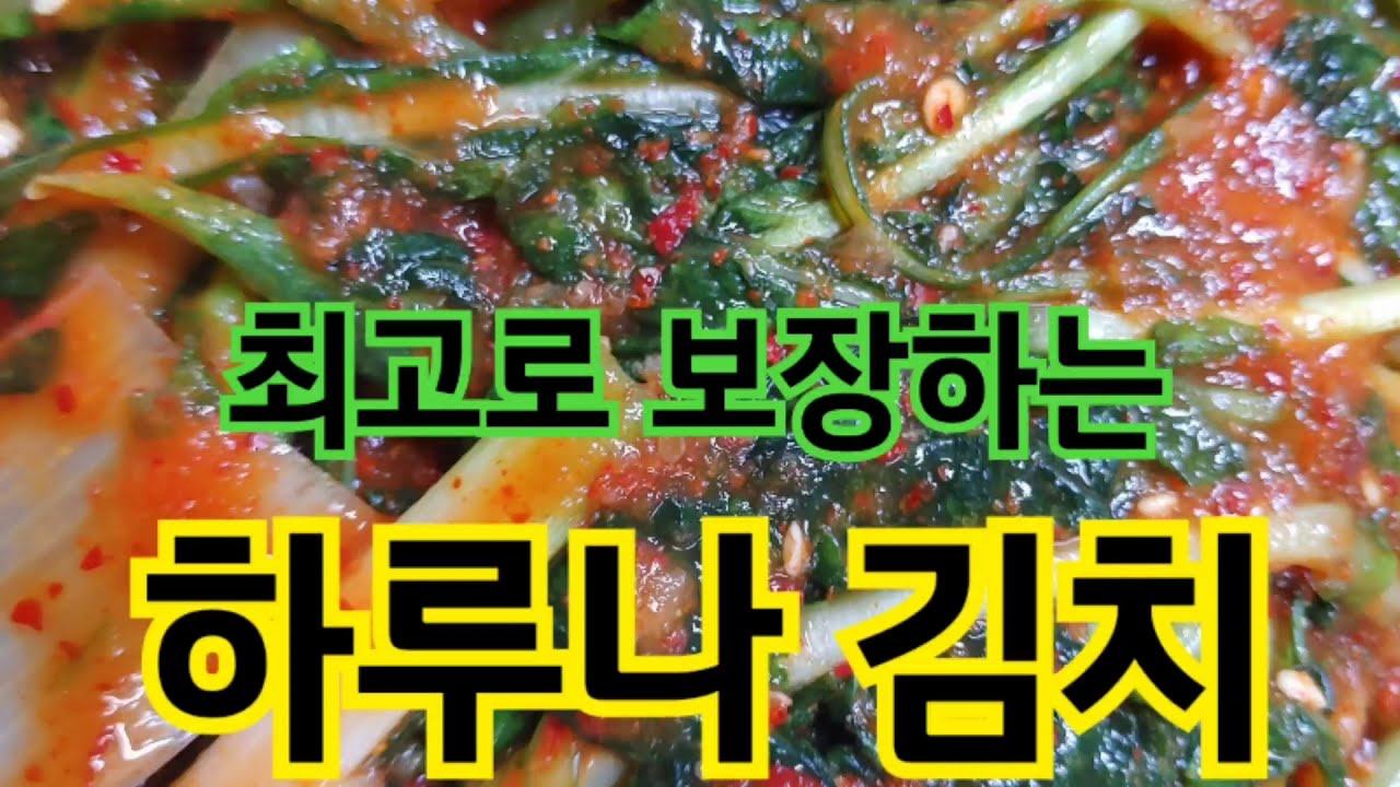 하루나김치~~ 이렇게 하시면 최고의 맛을 보장합니다