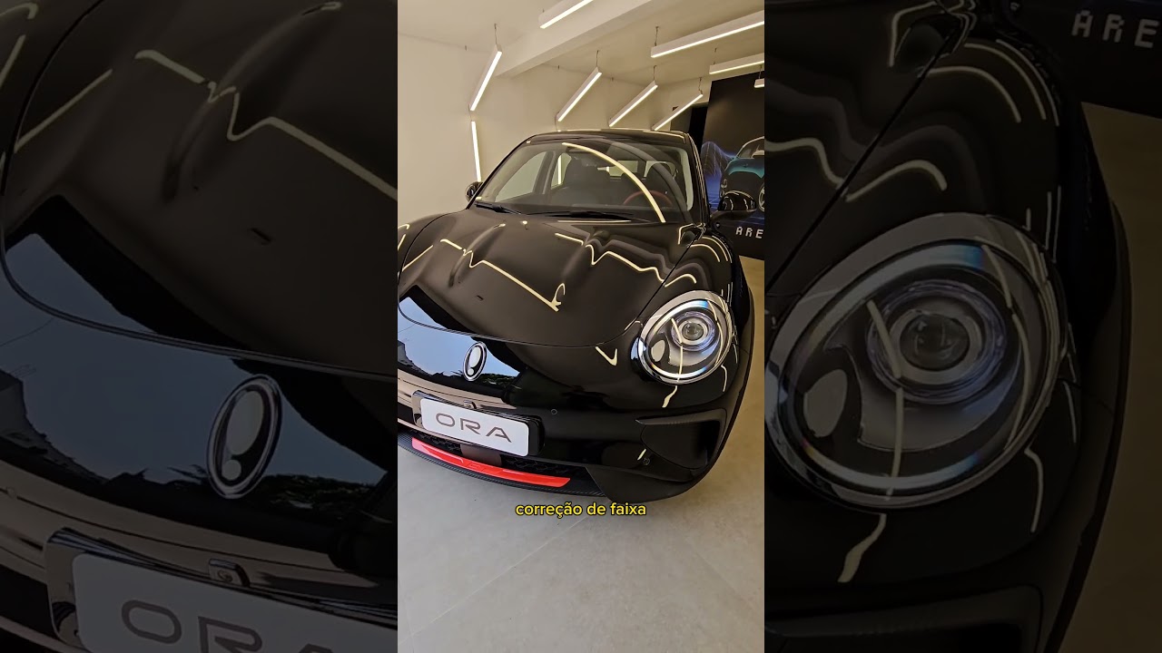 GWM Ora GT ou BYD Dolphin Plus?