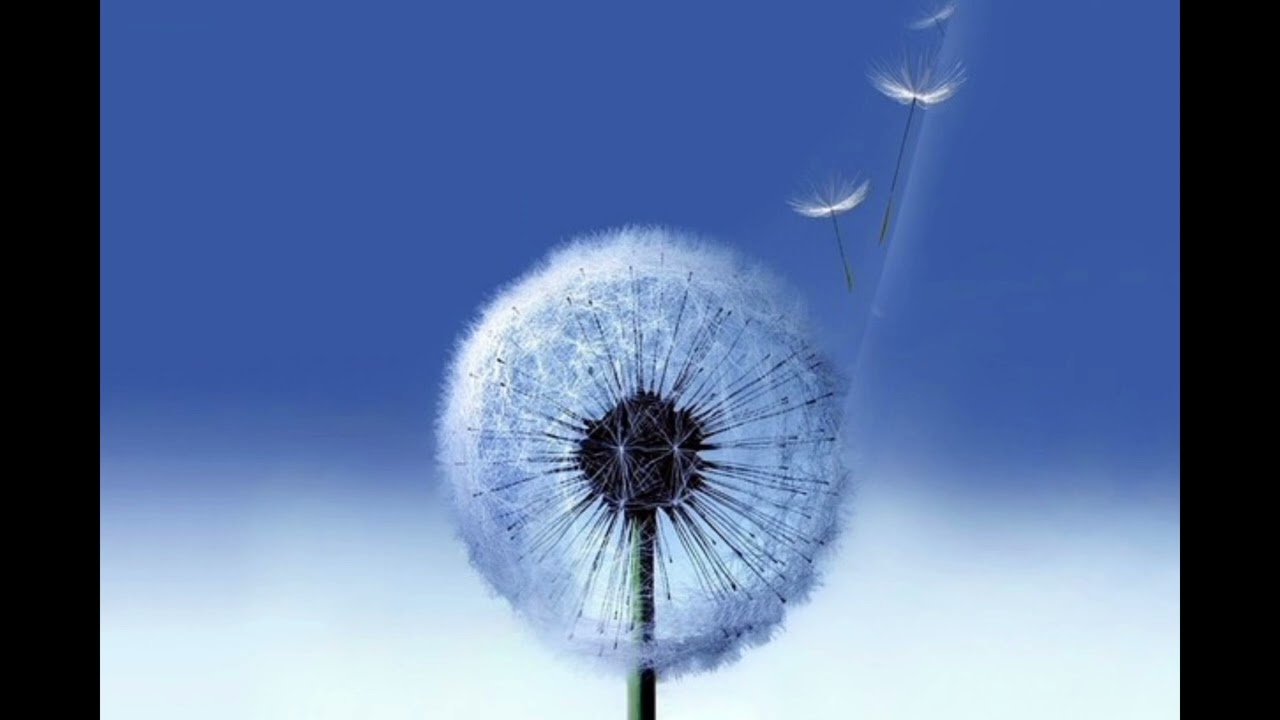 Dvorak Songs My Mother Taught Me - Samsung Ringtone 