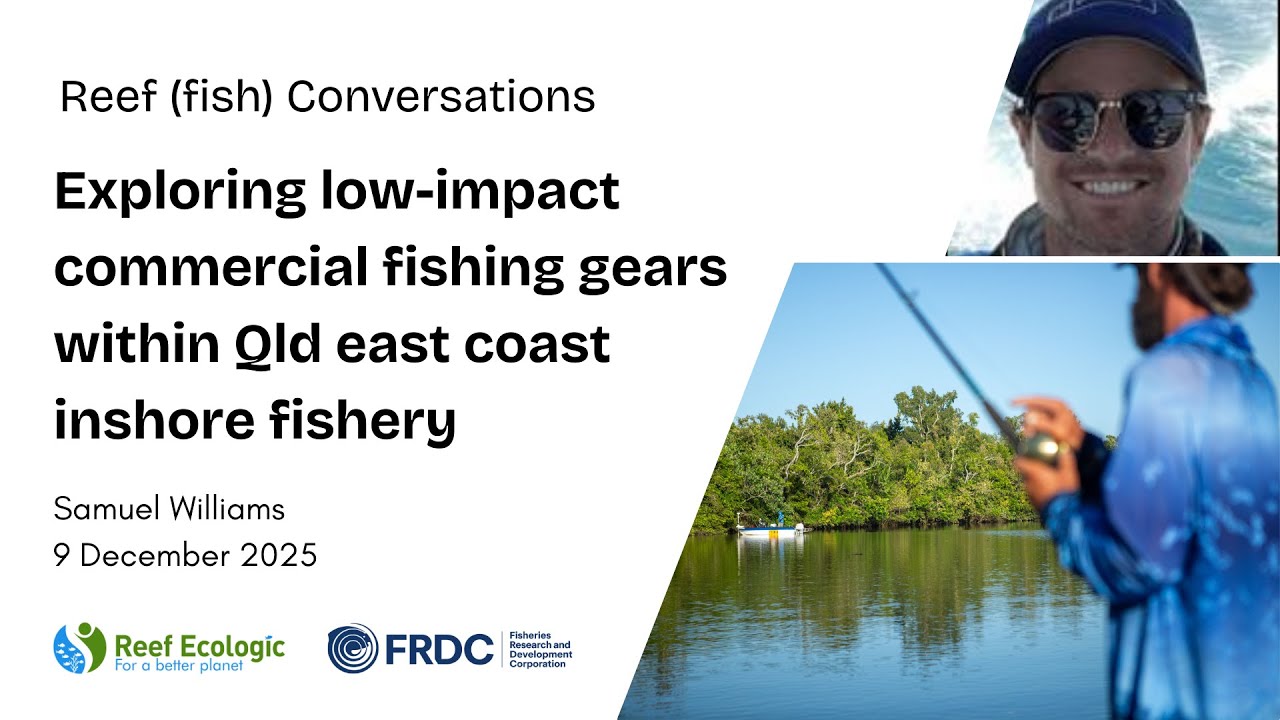 Reef Conversations - Exploring low-impact commercial fishing gear in Qld east coast inshore fishery