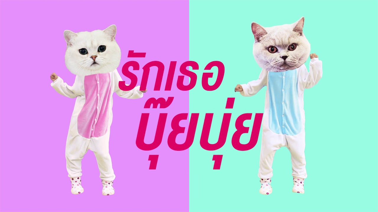 Copter onTheRock - รักเธอบุ๊ยบุ่ย Feat.NANTCXP [ OFFICIAL LYRICS ]