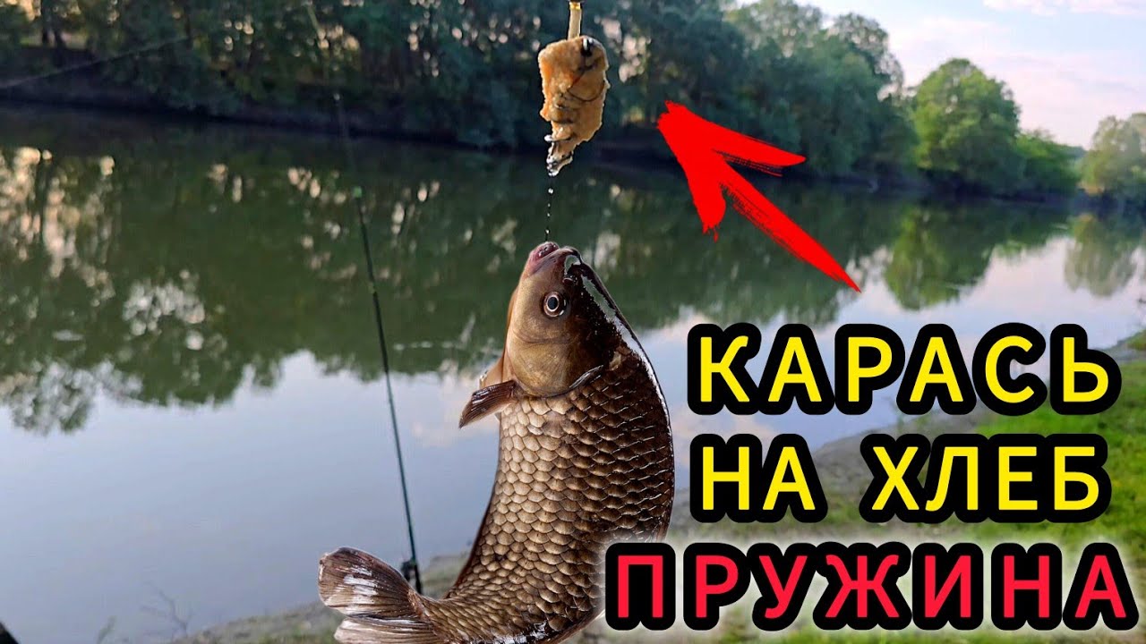 ЛОВЛЯ Карася НА Днестре. Борьба с  комарами!