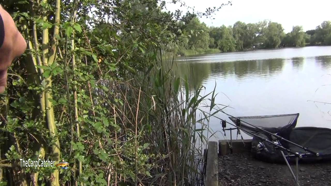 Fenland Dreams — ловля карпа