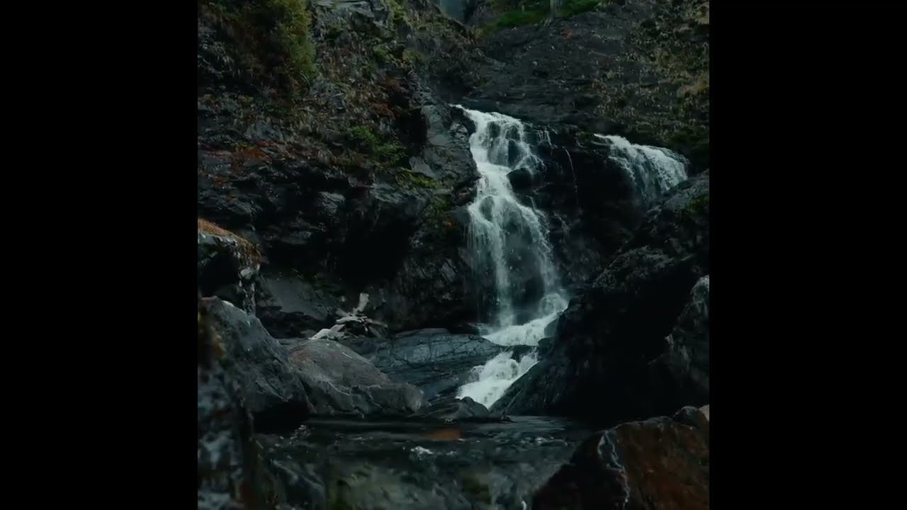 Fall Asleep Instantly | 9 Hours and 59 Minutes of a Soothing Babbling Brook (No Ads)