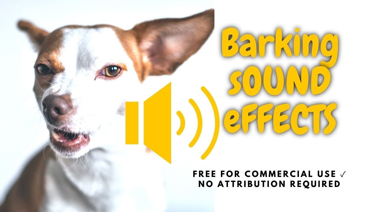 Dog Barking free Filmora  sound effect  