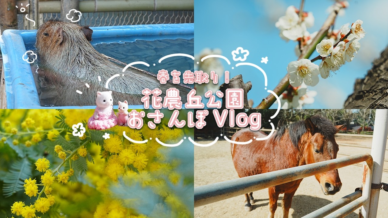 春を先取り🌸【花農丘公園】で梅さんぽVlog