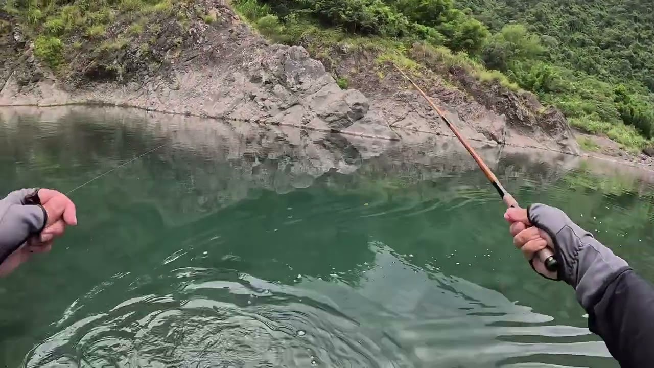 2025 9 20 快樂釣魚🎣趣 這裡的溪哥還真多（紅河谷）