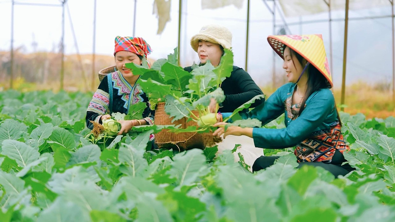 ĐÓN TEAM PHẠM DŨNG & SONG HỶ | NẤU BỮA CƠM SIÊU HẤP DẪN | BẾP TRÊN BẢN