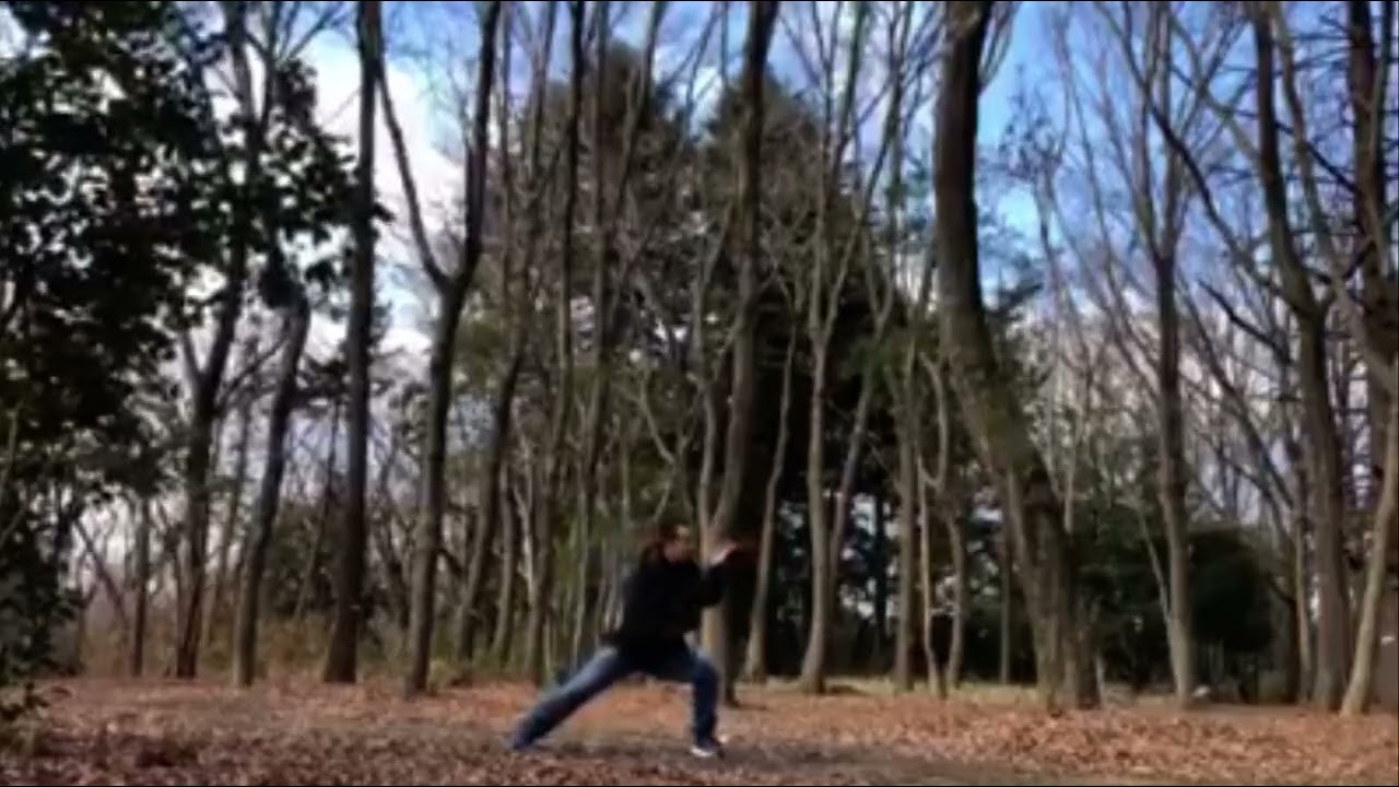 陳氏太極拳小架Chen styleTaiji xiao jia