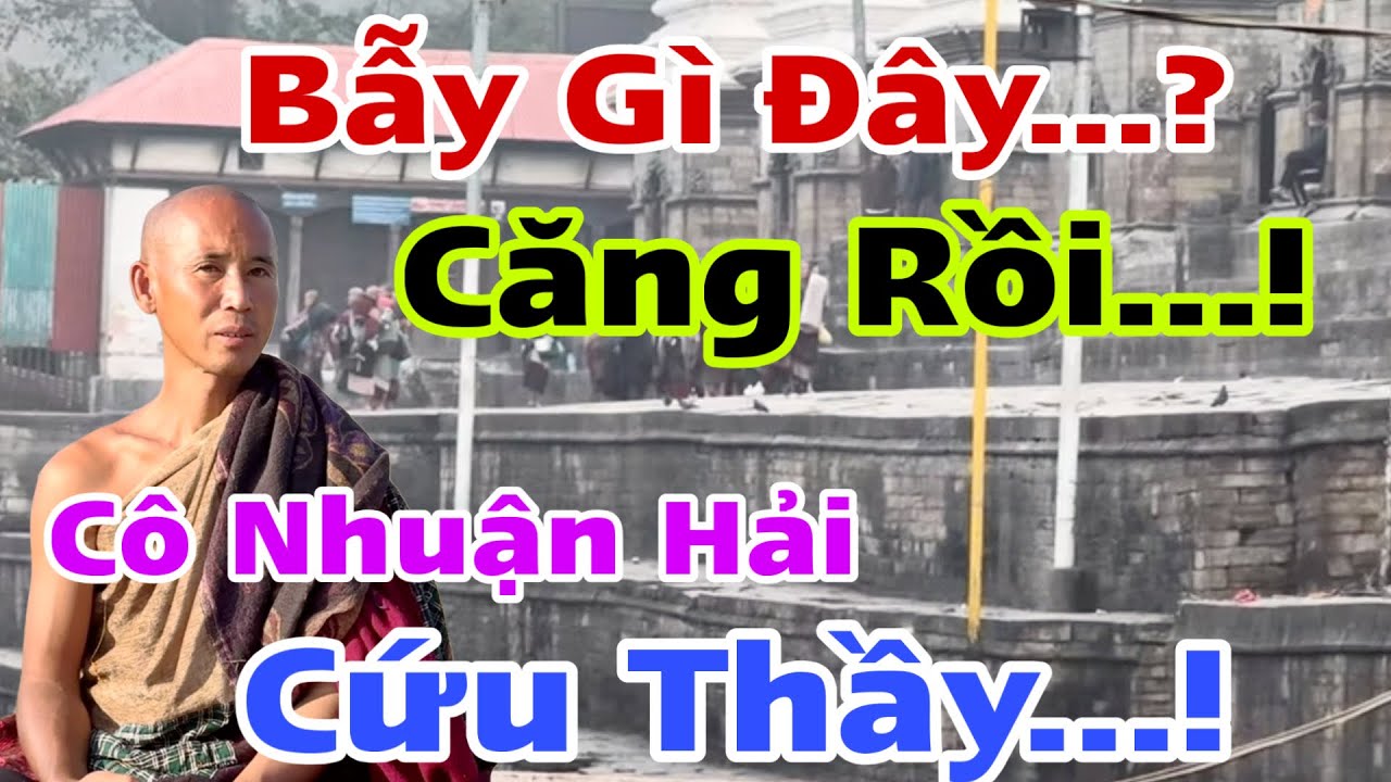 Căng Rồi…! Cô Nhuận Hải Cứu TMT… N11 Bức Xúc Điề Gì..? Ai Gài Bẫy..?