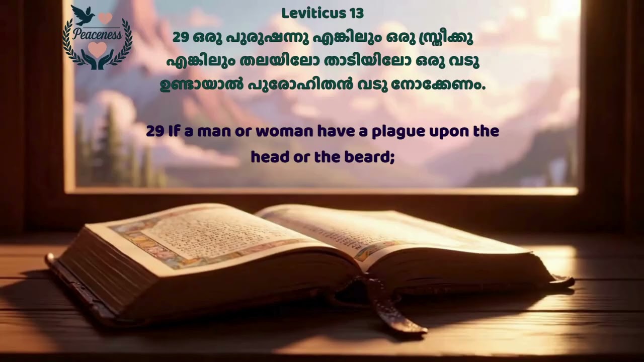 Day 37 Leviticus 12 - 13