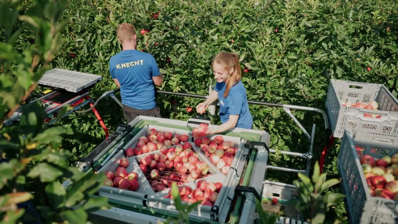 NETFILLER by BerMarTEC - Harvest 2024