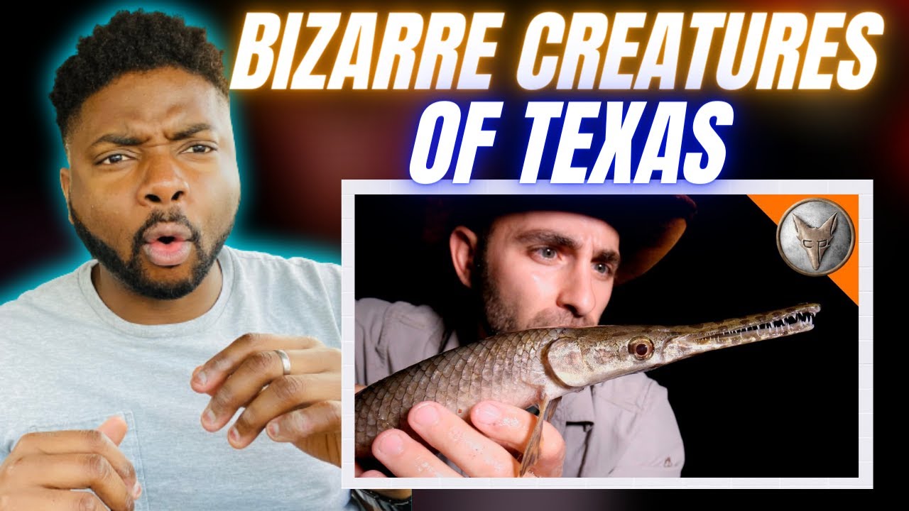 🇬🇧BRIT Reacts To BIZARRE CREATURES OF TEXAS!