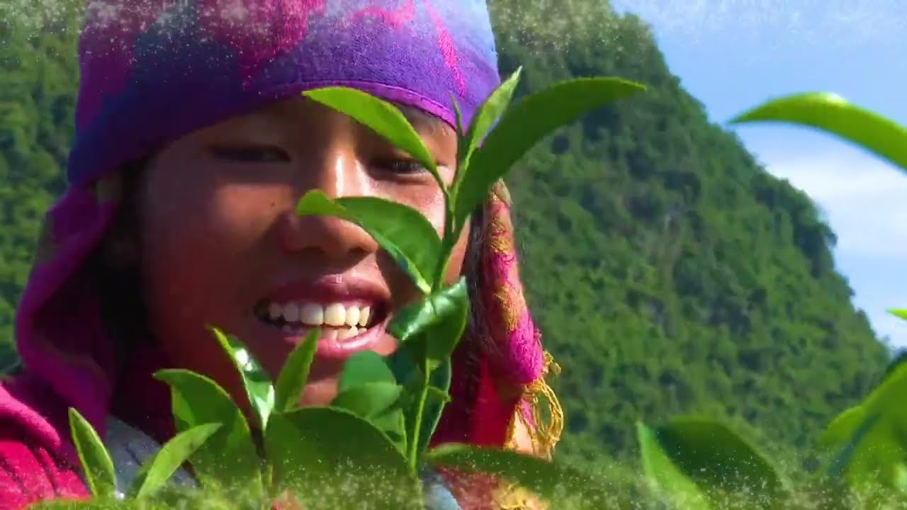 THUẬN CHÂU 