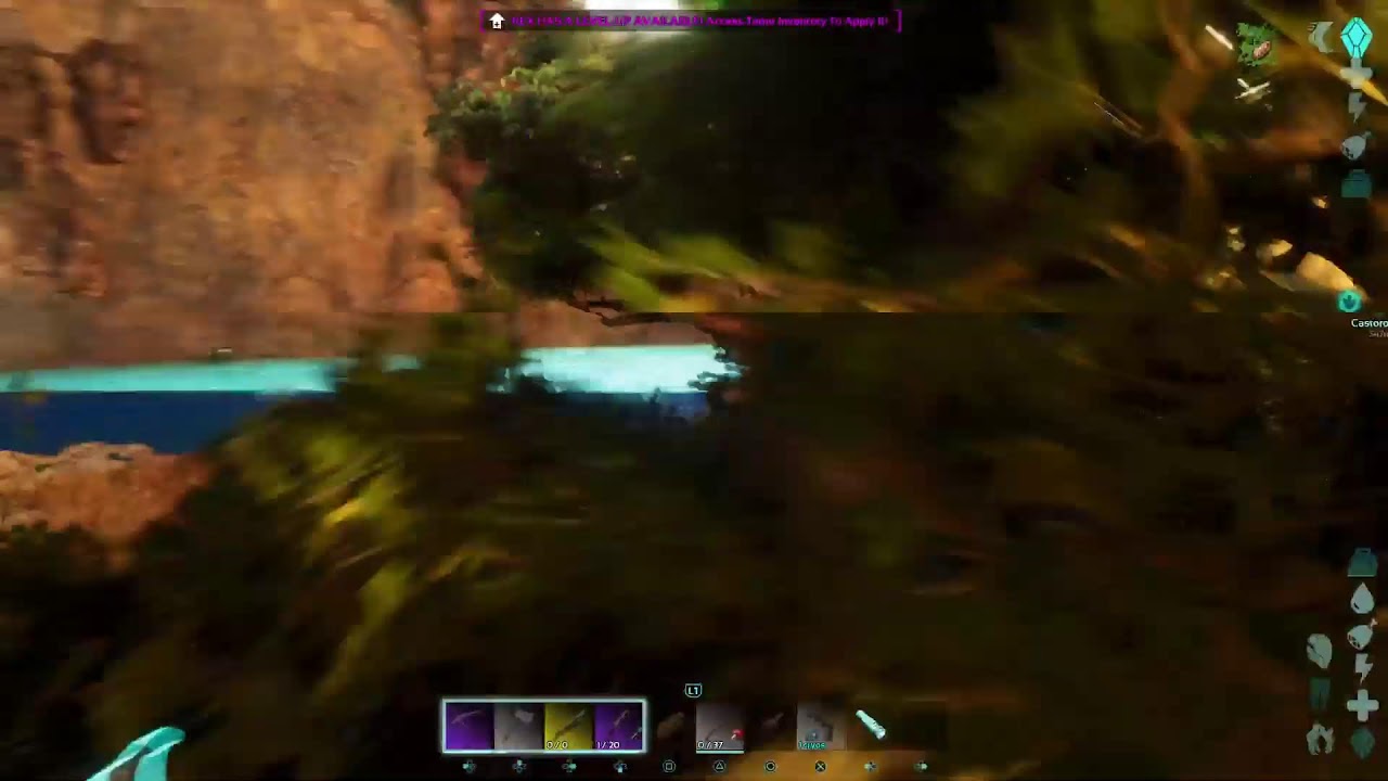 Ark rescue