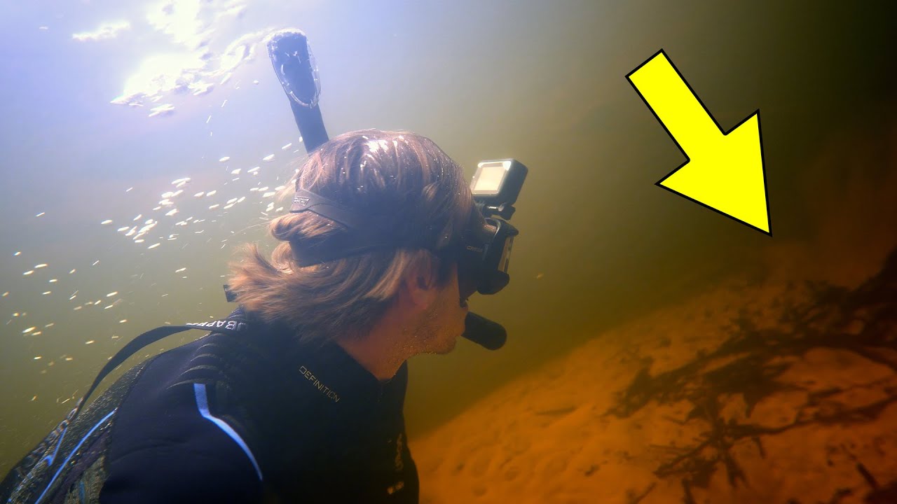 Bucket List Discovery Fossil Hunting in Florida