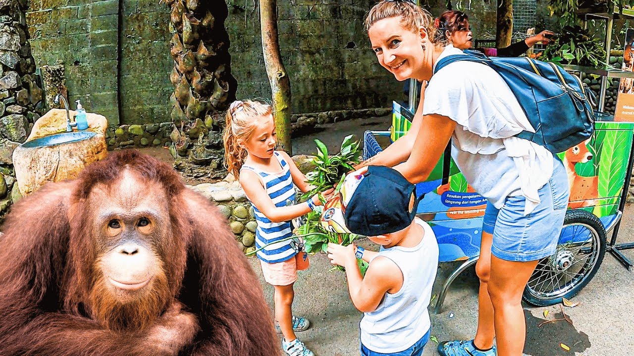An Unforgettable Day At The Bali Zoo
