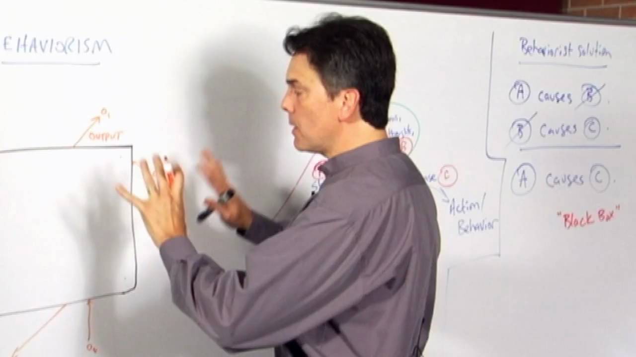 Black Box Methodology (Philosophy of Education Part 10, Section 9)