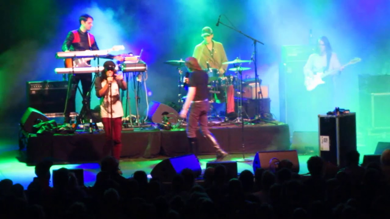 Ariel Pink - I wanna be young (live @ Rivierenhof, 30-08-2018)