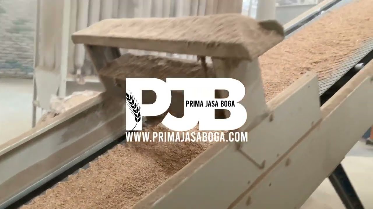 Rice Husk Pellet Manufacturing Process - for Biomass Renewable Energy and Animal Bedding or Feeding