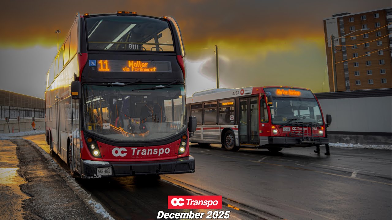 OC Transpo Route 11 Waller | #octranspo