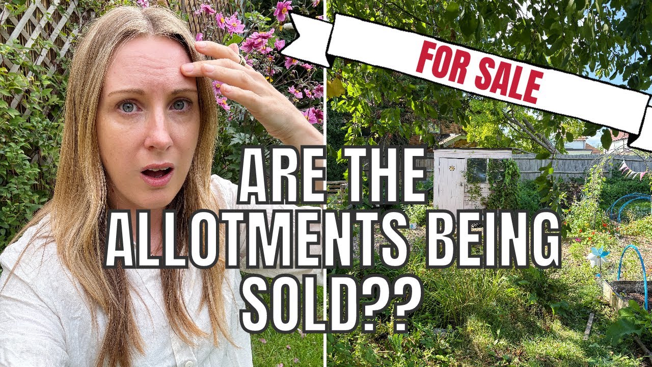 ARE THE ALLOTMENTS BEING SOLD?? / ALLOTMENT GARDENING UK