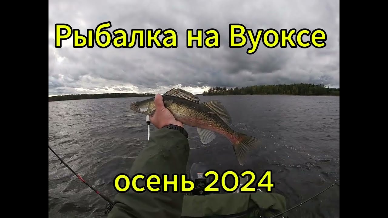 Рыбалка на Вуоксе. Спиннинг. Осень 2024