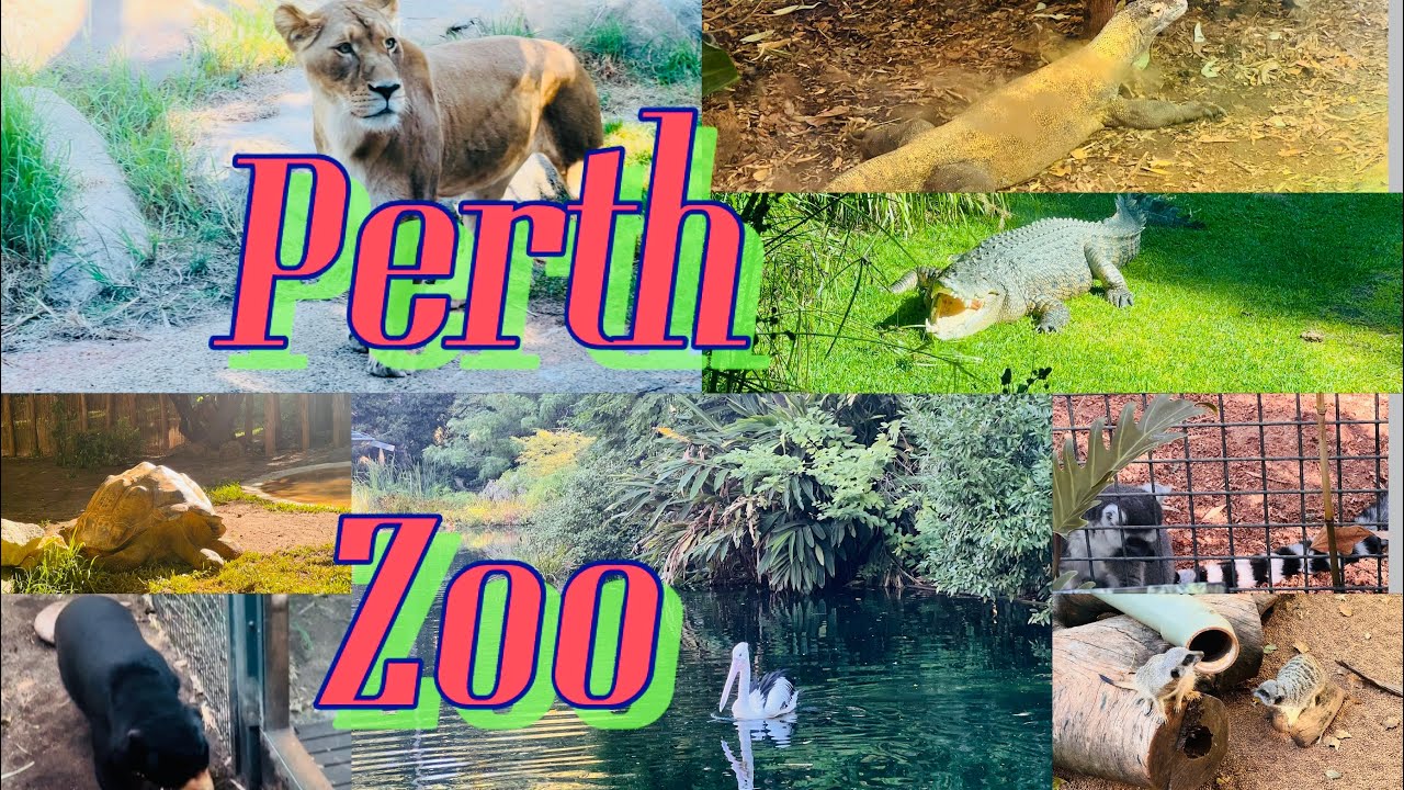 Perth Zoo/ Perth Western Australia