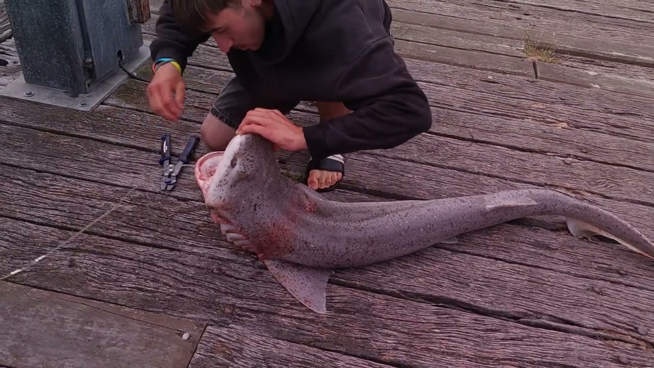 Fishing in New Zealand. 
