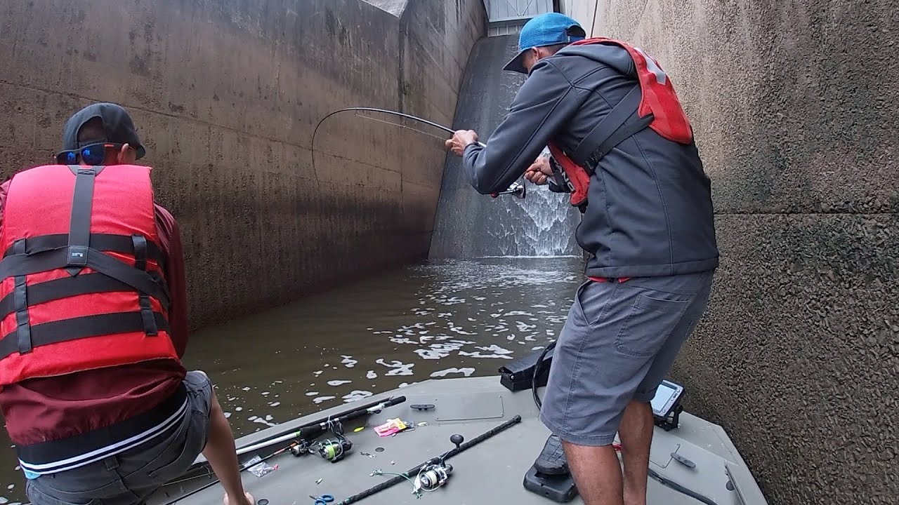 Increíble En Donde Pescamos Bagres Gigantes , Parte 1 Pesca Y Cocina
