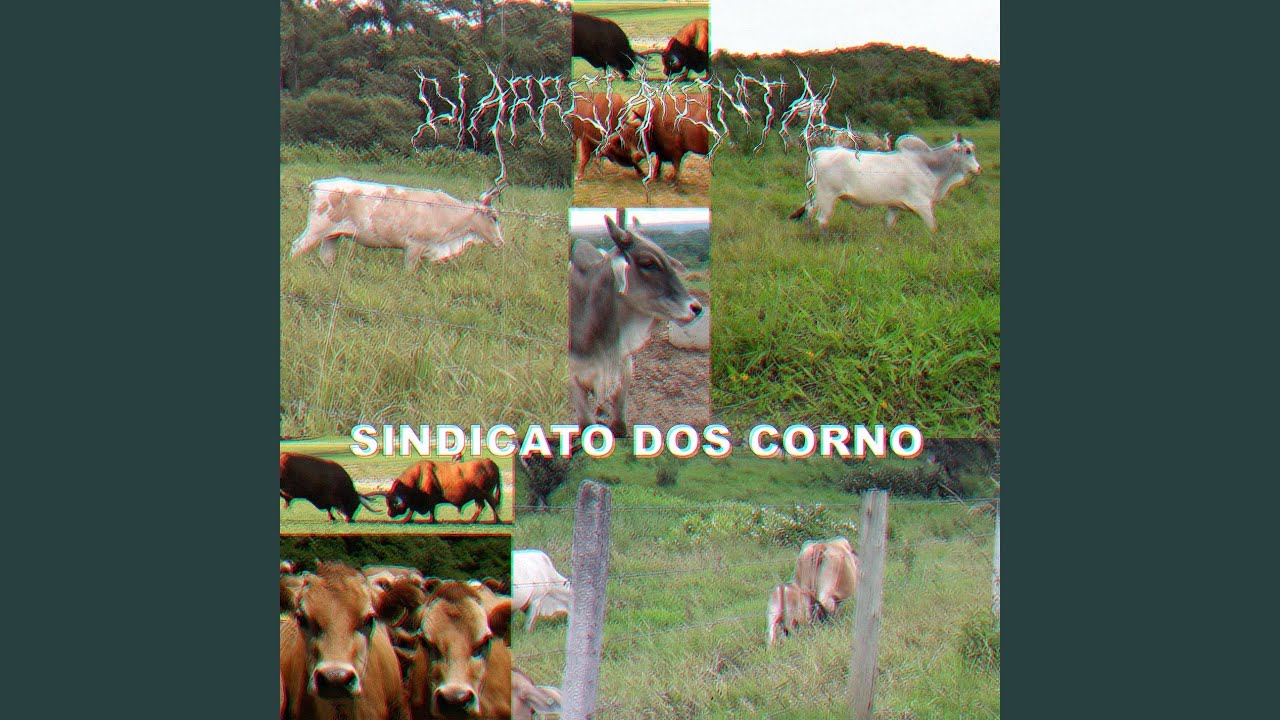 Eu Odeio o Detran