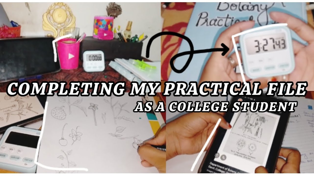 Completing my practical file 🗄️ | As a College Student | Study Vlog