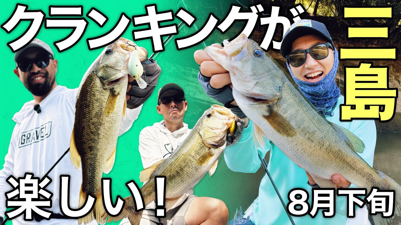 8月下旬の #三島ダム シャロークランキングが楽しい！丁寧にコンタクトさせてバイトを誘う！【房総リアルを求めて】 #バス釣り