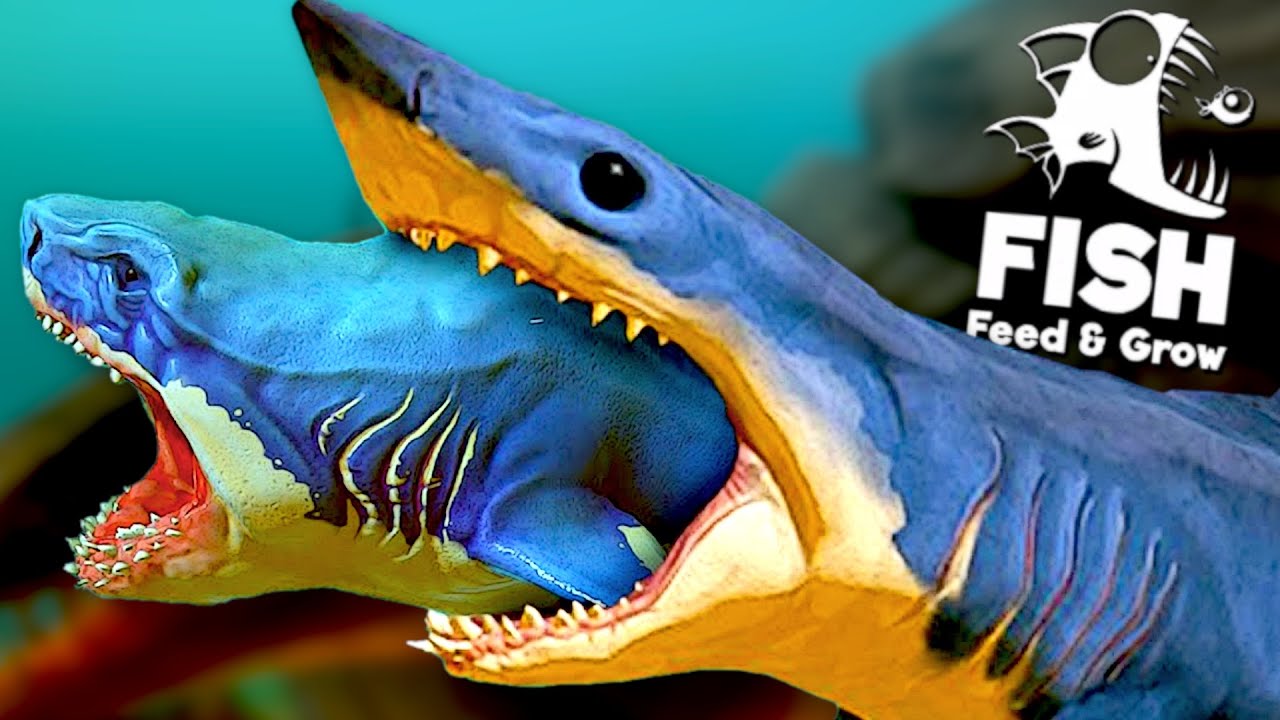 DEV MEGALODON vs Btraenn  - Feed and Grow: Fish TÜRKÇE