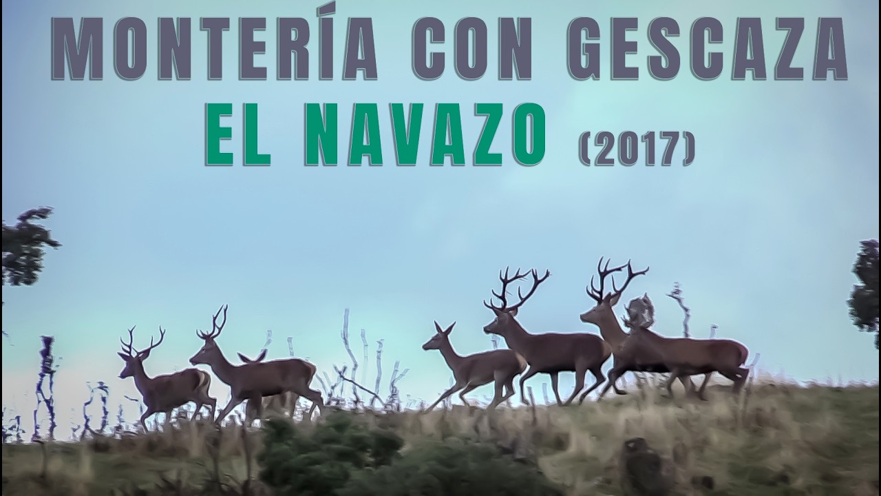 Monteria con Gescaza  El Navazo (2017)