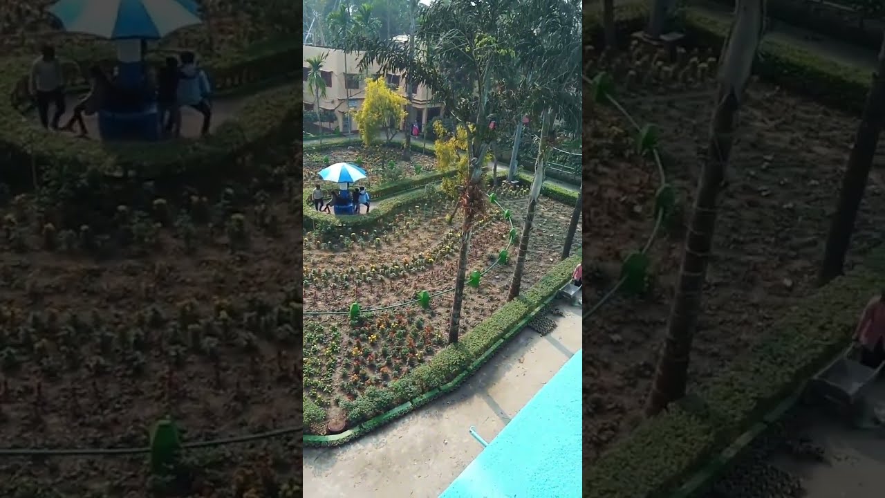 Vidyanagar college#vidyanagarcollege's beautifulview #beautifulvideo #viralvideo #youtubevideo #
