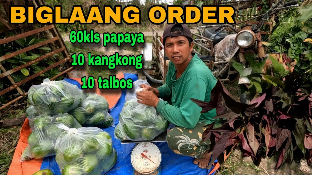 BIGLAANG ORDER ng mga gulay