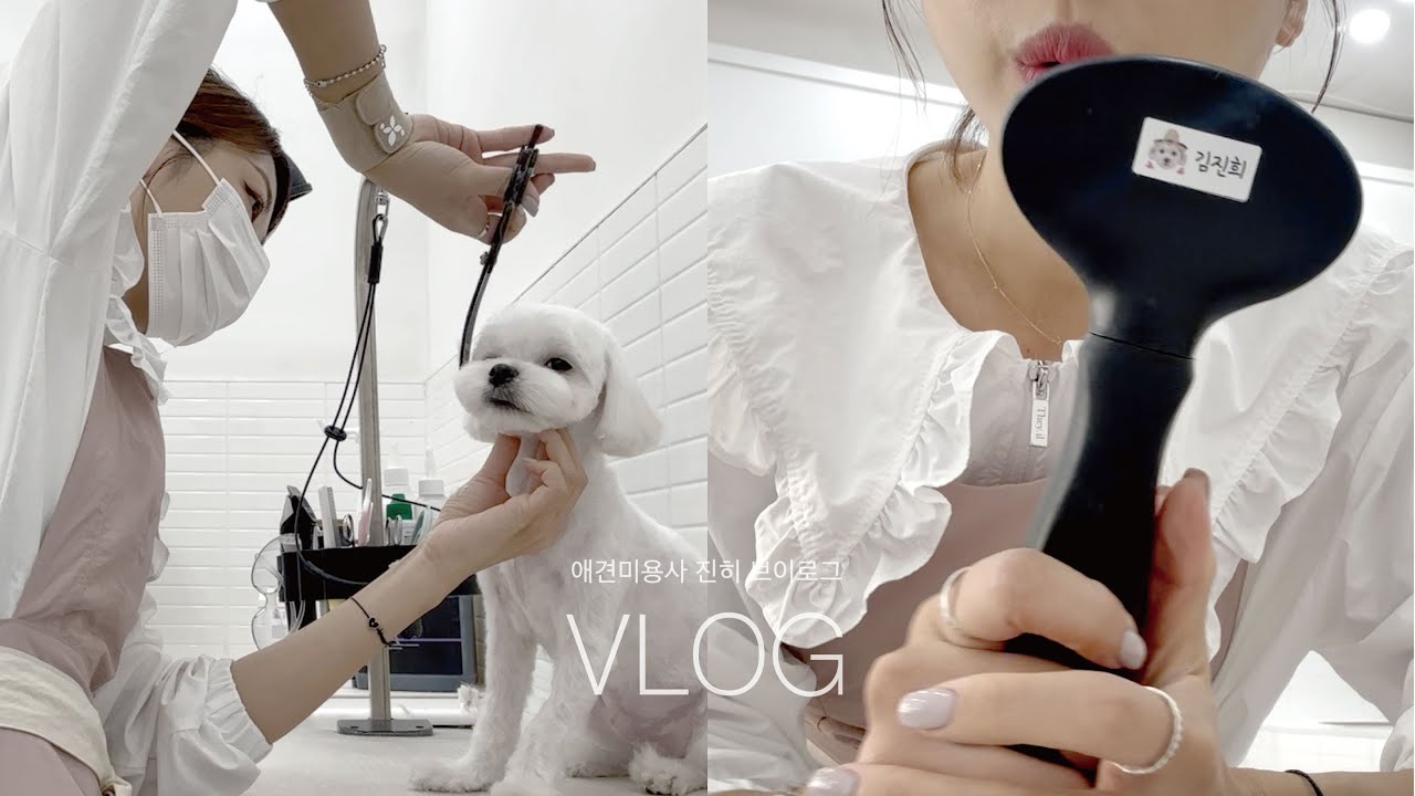 [VLOG] 나는 이것만 쓴다✨ 클리퍼, 슬리커, 콤 추천 | 애견미용사 일상 | 양산애견미용실 봄나들이