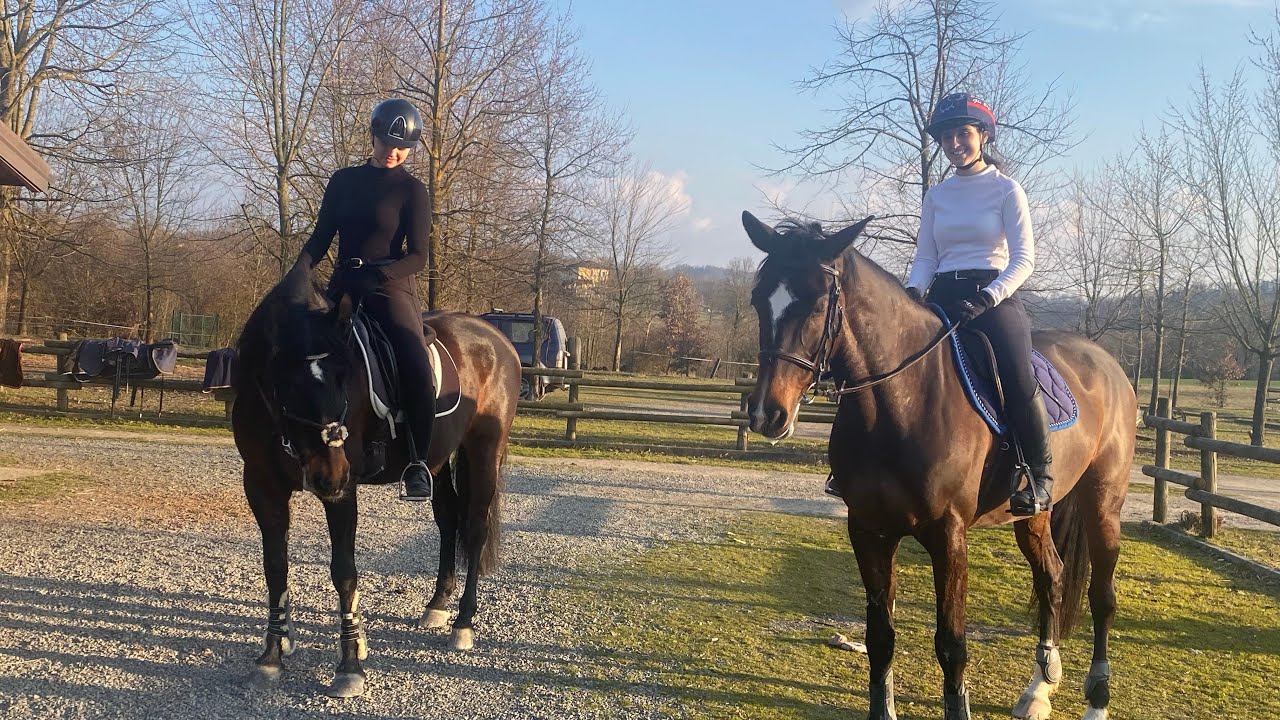 Ho cambiato maneggio! 🤎 + Le mie lezioni di salto e esercizi per il cavallo!