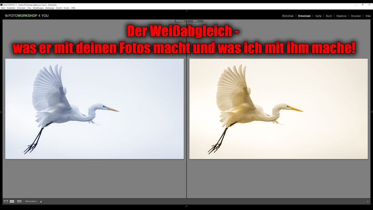 Fotografie Know-How: Der Weißabgleich und wie du damit umgehst!