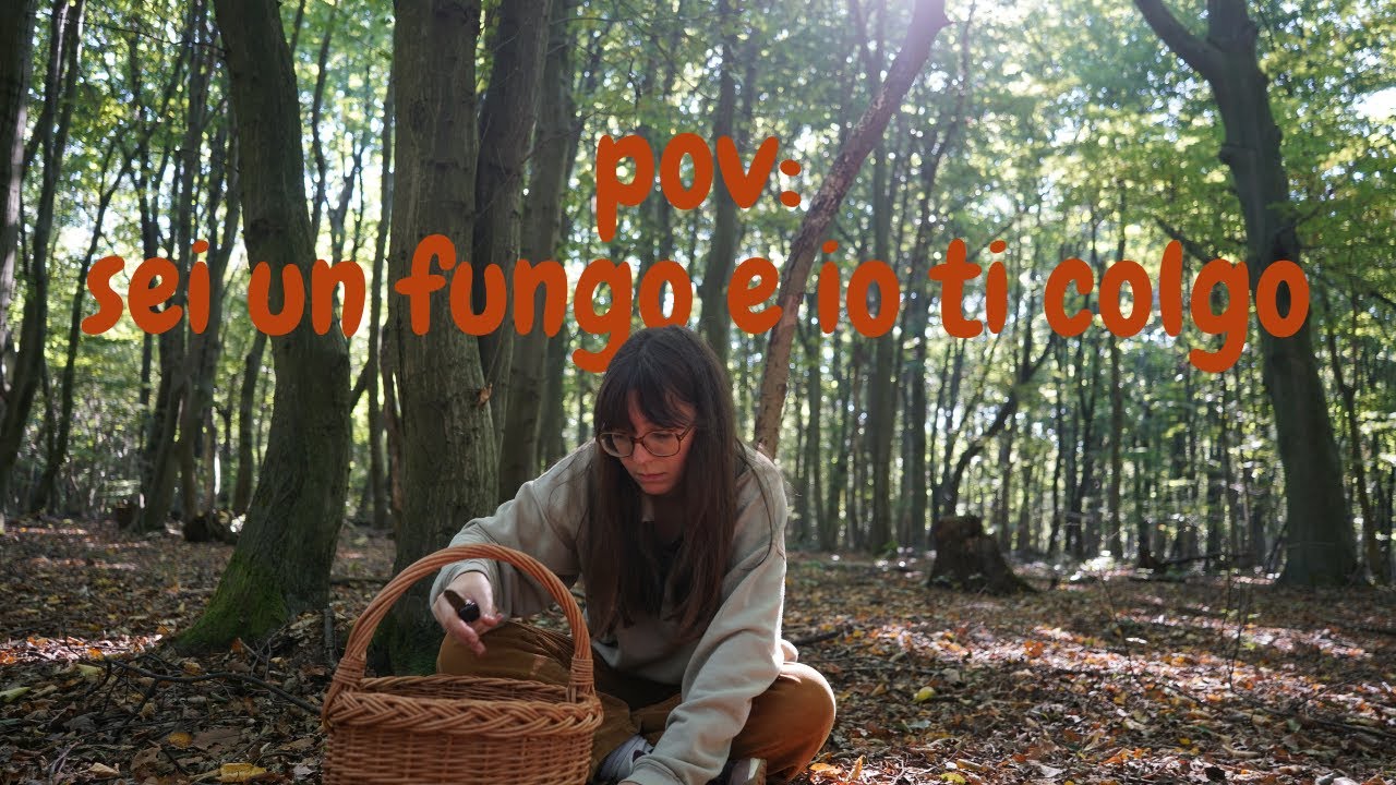 fungando insieme asmr