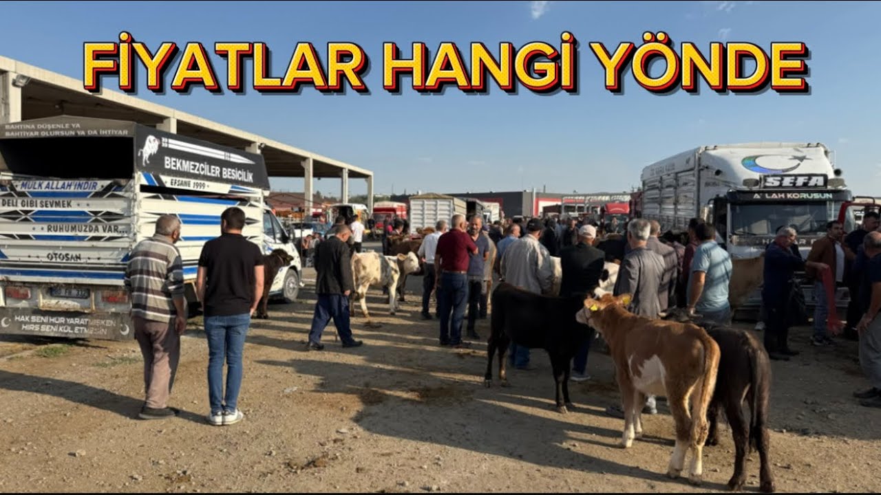 16 EYLÜL KIRIKKALE HAYVAN PAZARI YENİ 